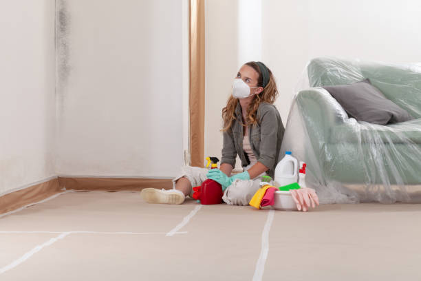 Reliable Mold Remediation contractor in Weston, NJ by Cheap Mold Removal